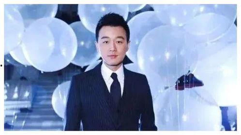 娱乐圈公司是谁,揭秘那些掌控明星命运的幕后巨头
